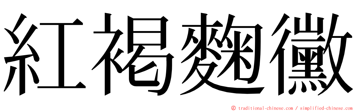 紅褐麴黴 ming font