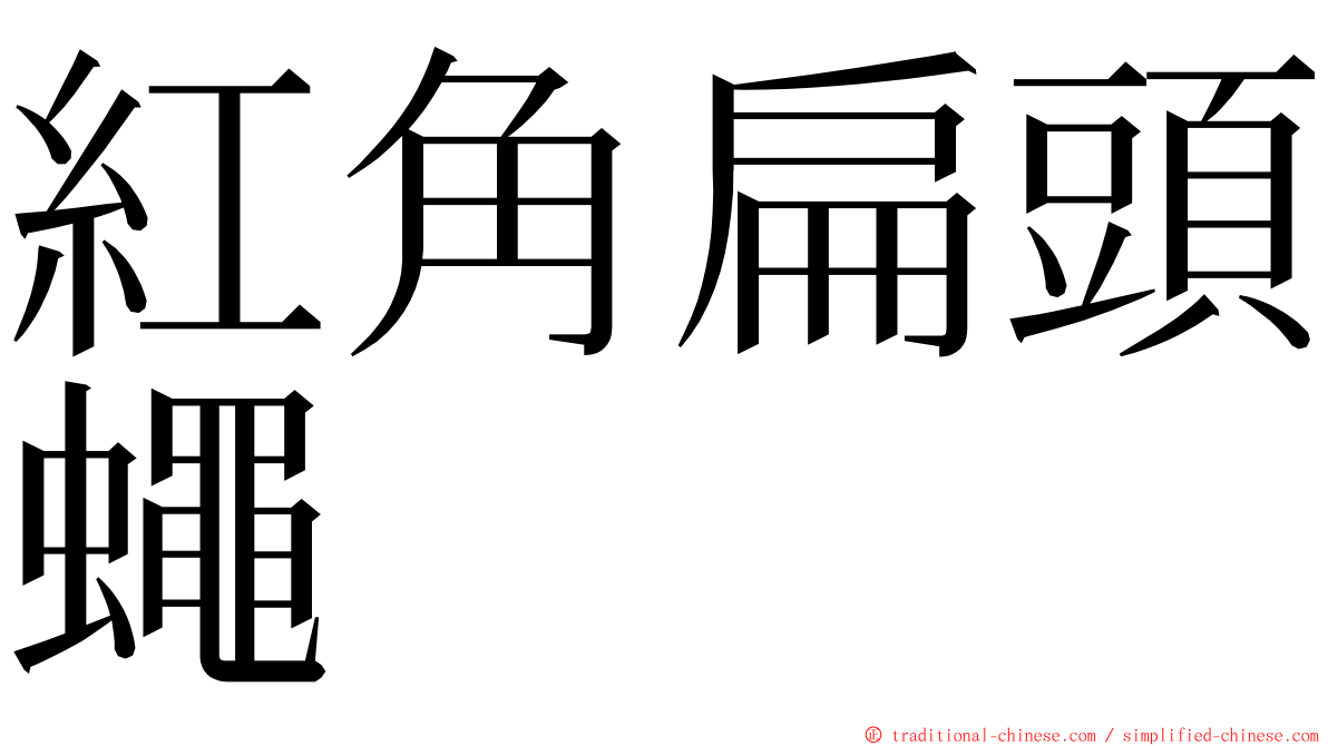 紅角扁頭蠅 ming font