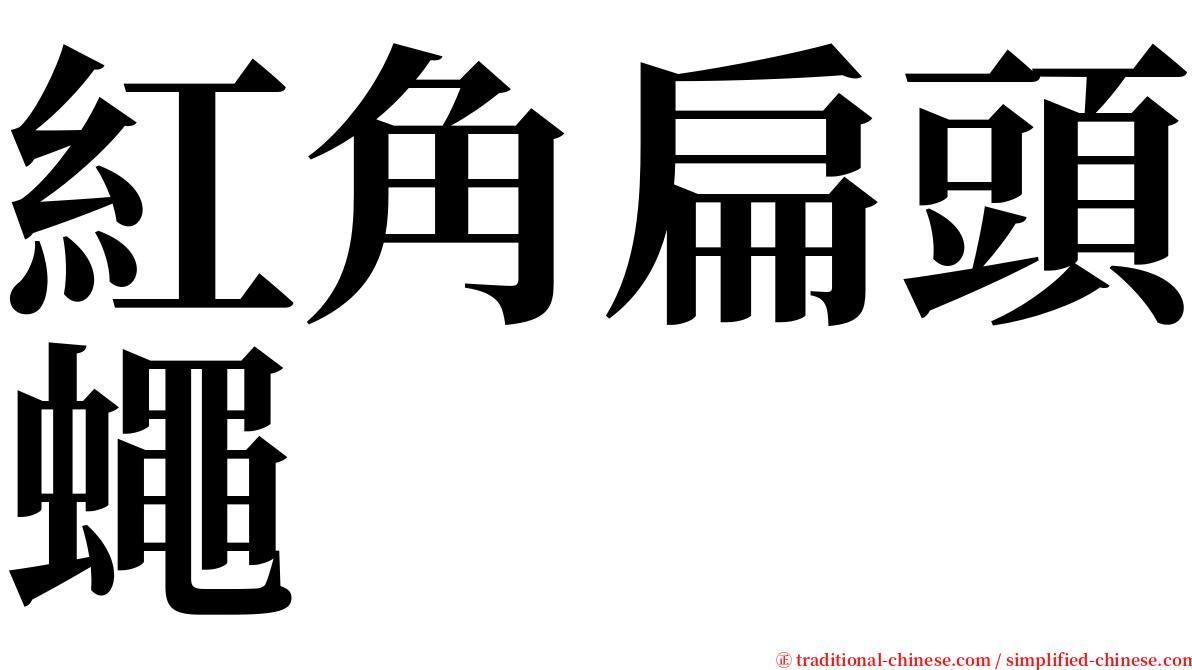 紅角扁頭蠅 serif font