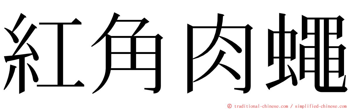 紅角肉蠅 ming font