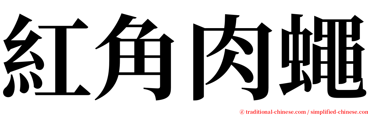 紅角肉蠅 serif font