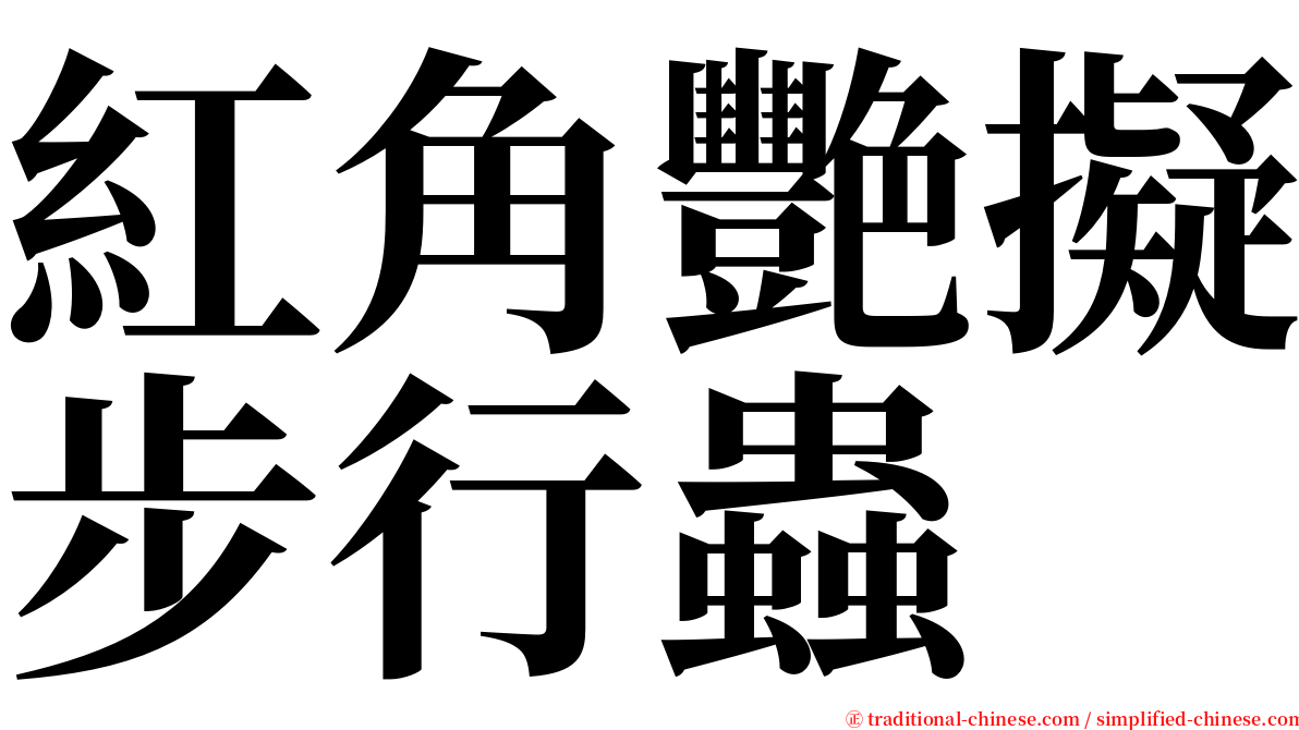 紅角艷擬步行蟲 serif font