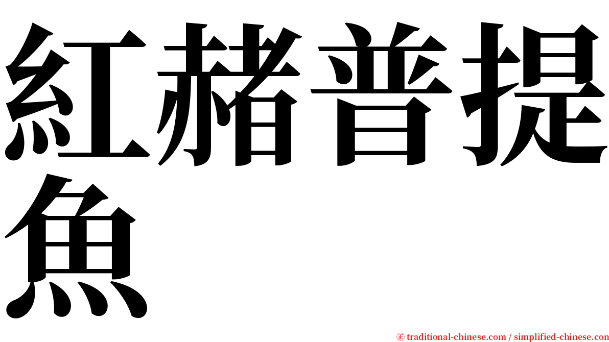 紅赭普提魚 serif font