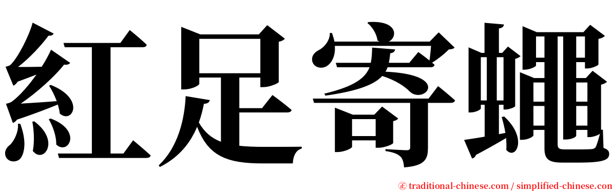 紅足寄蠅 serif font