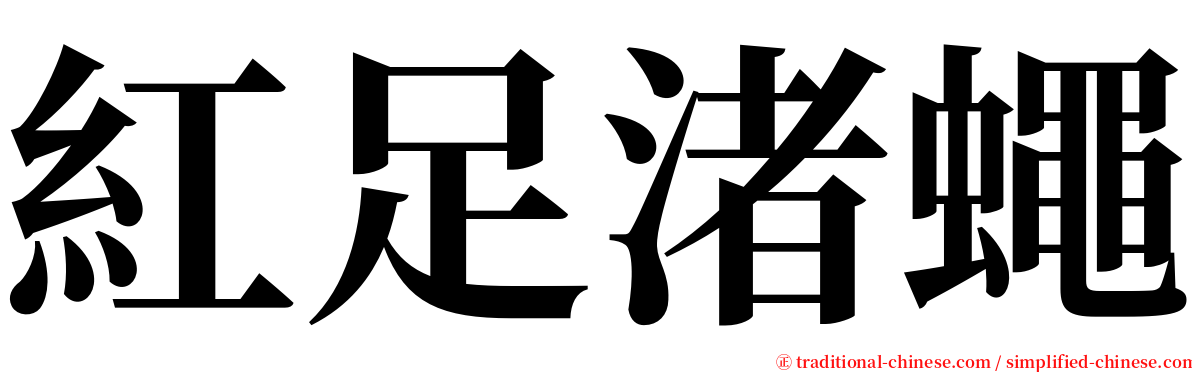 紅足渚蠅 serif font