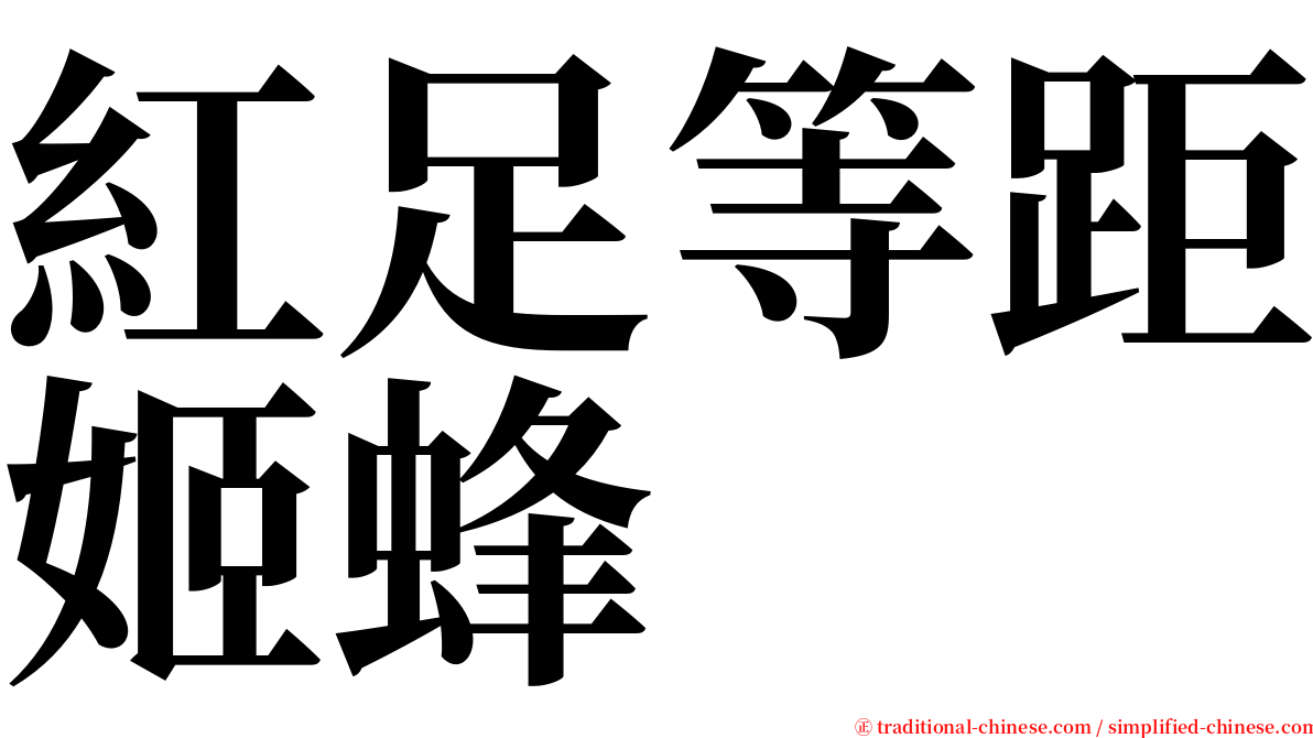 紅足等距姬蜂 serif font