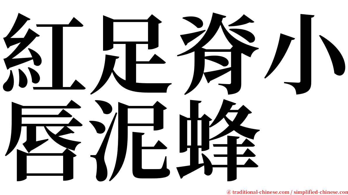 紅足脊小唇泥蜂 serif font