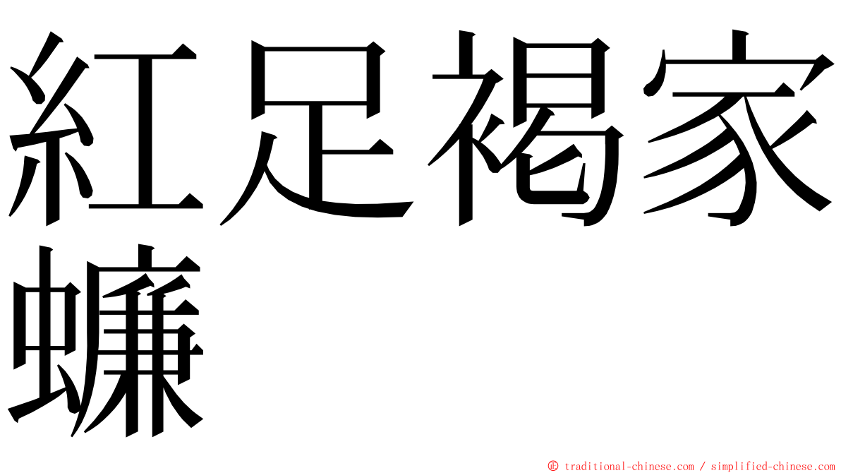 紅足褐家蠊 ming font