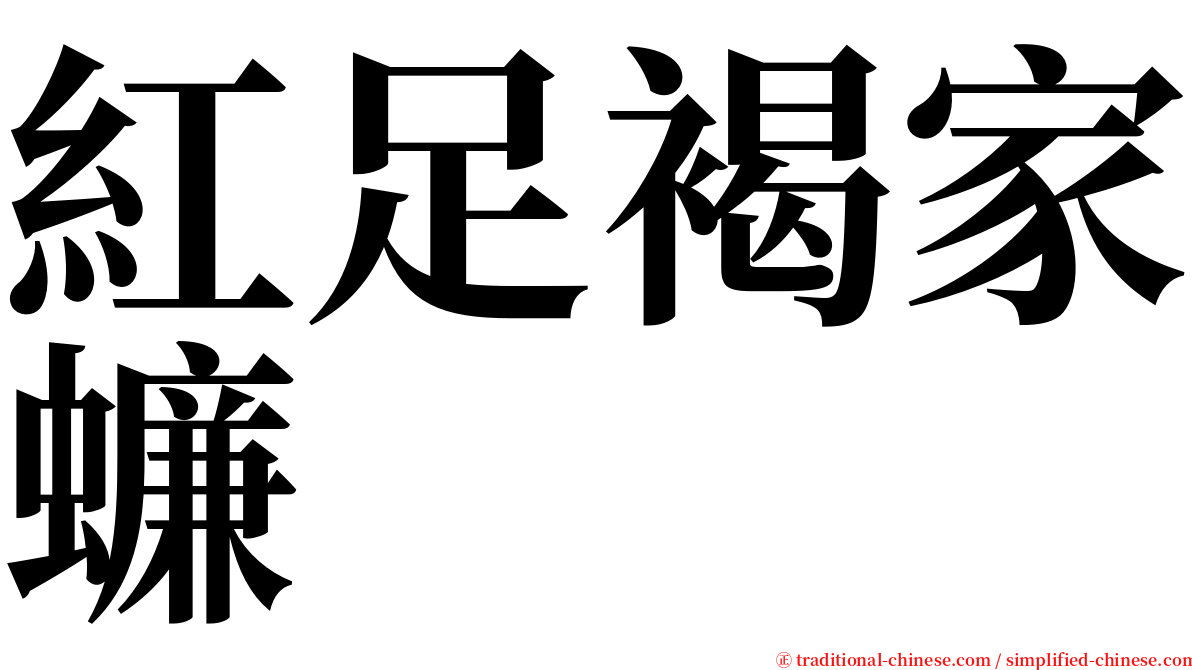 紅足褐家蠊 serif font