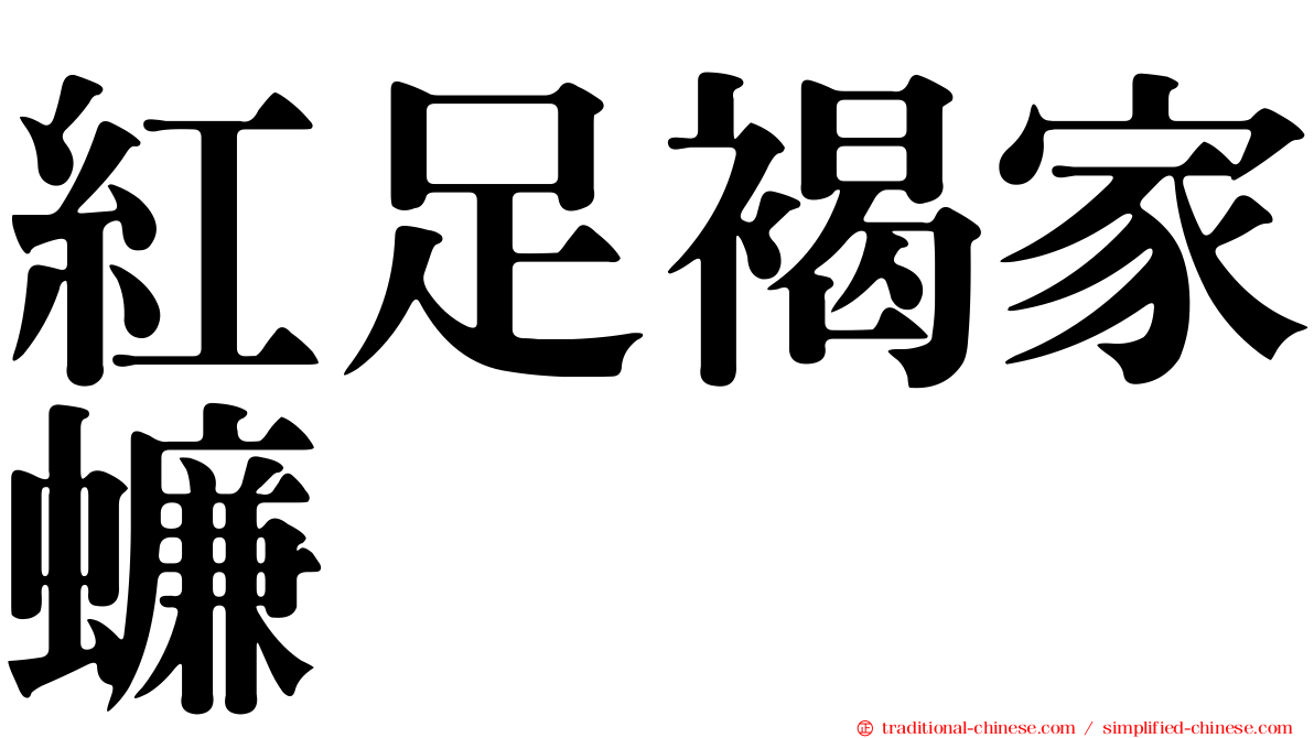 紅足褐家蠊