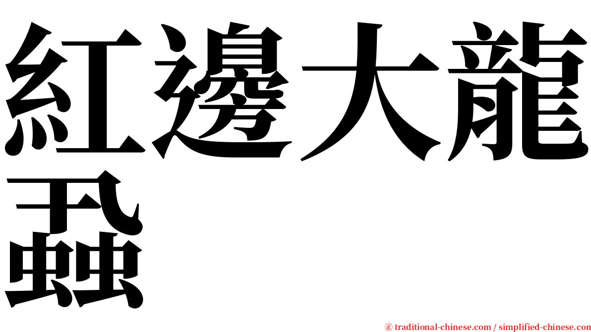 紅邊大龍蝨 serif font