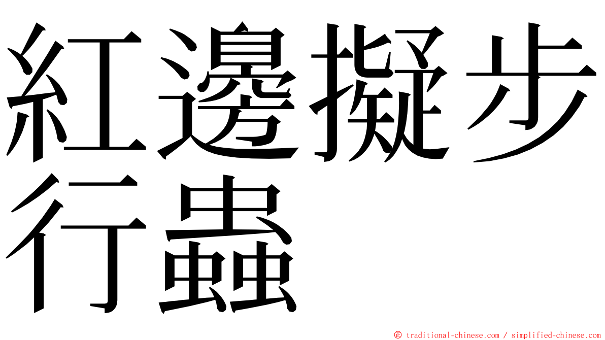 紅邊擬步行蟲 ming font