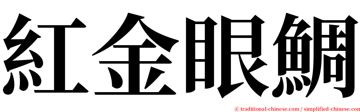 紅金眼鯛 serif font