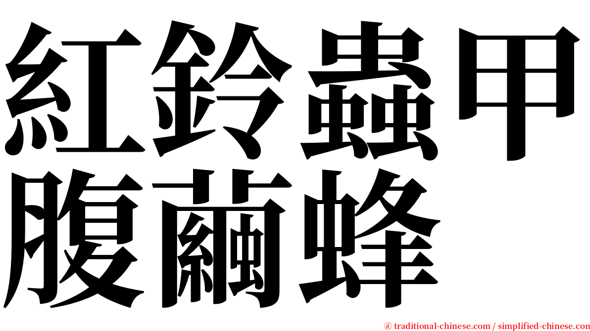 紅鈴蟲甲腹繭蜂 serif font