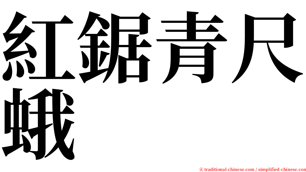 紅鋸青尺蛾 serif font