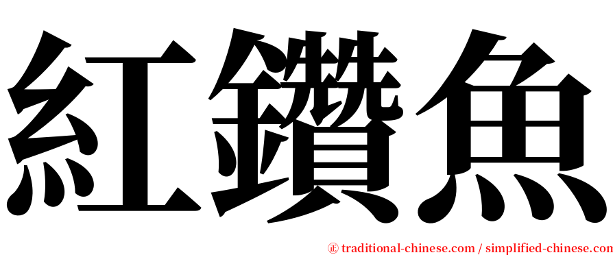 紅鑽魚 serif font