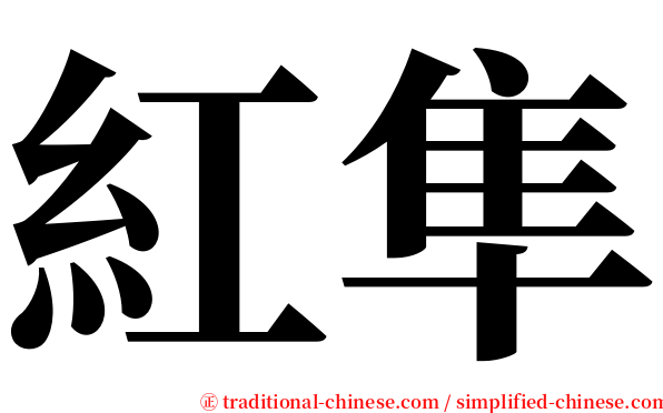 紅隼 serif font