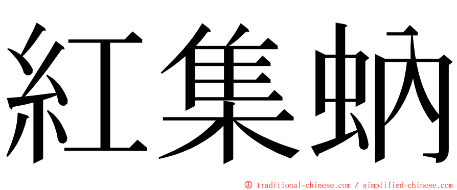 紅集蚋 ming font