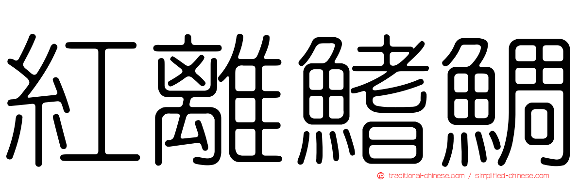 紅離鰭鯛