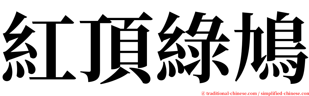 紅頂綠鳩 serif font