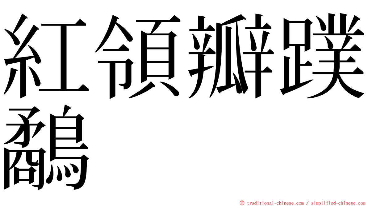 紅領瓣蹼鷸 ming font