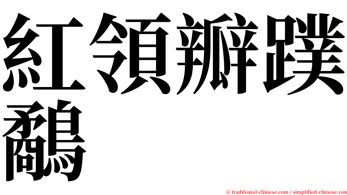 紅領瓣蹼鷸 serif font