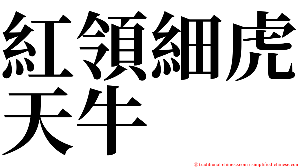 紅領細虎天牛 serif font