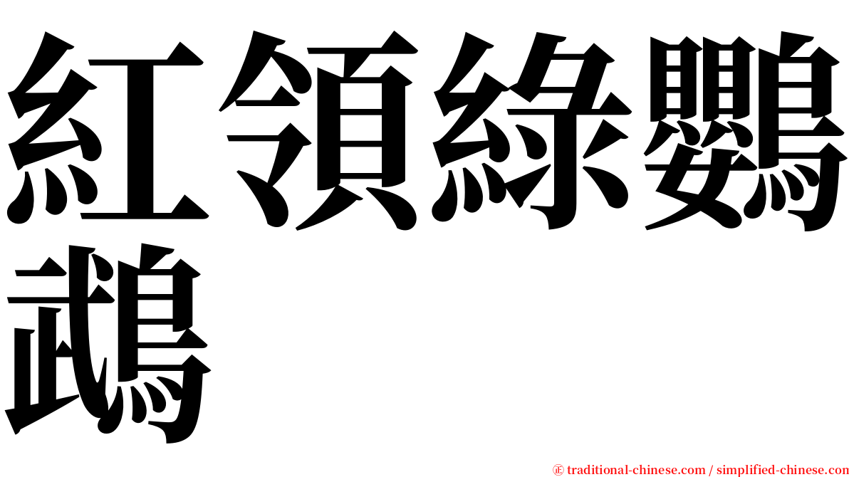 紅領綠鸚鵡 serif font