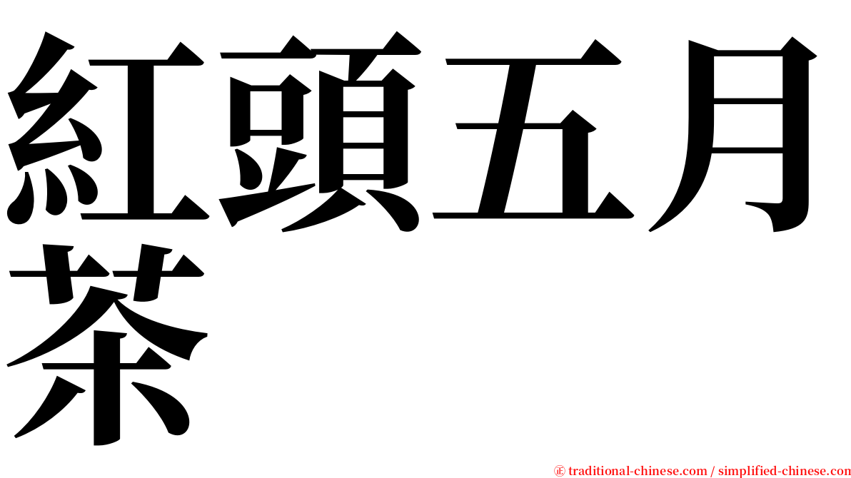 紅頭五月茶 serif font