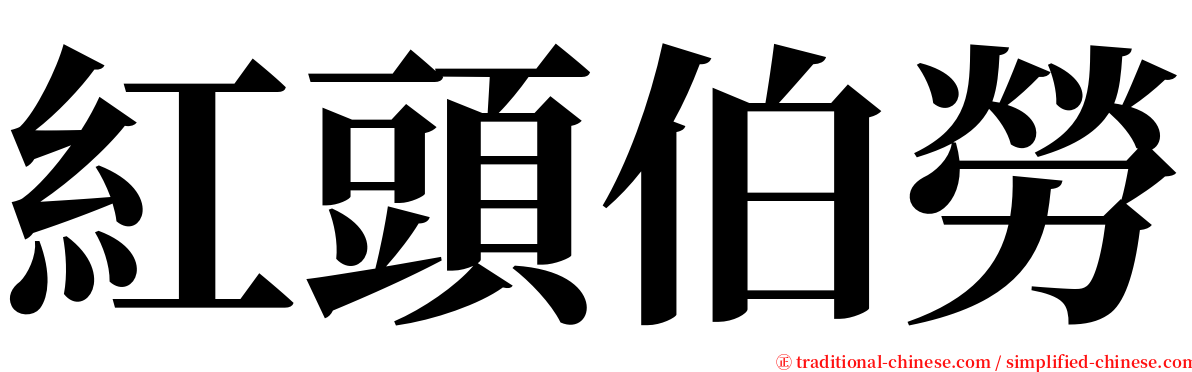 紅頭伯勞 serif font