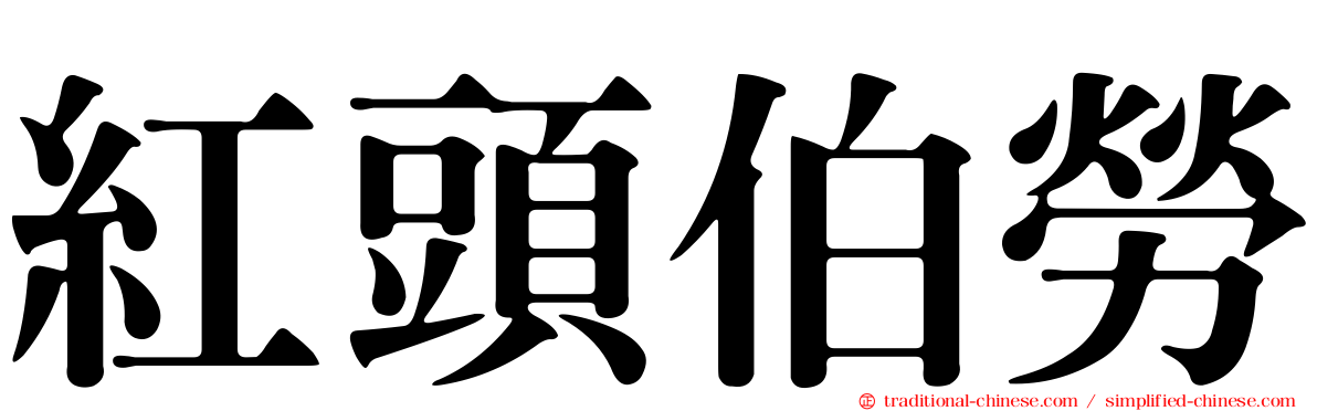 紅頭伯勞