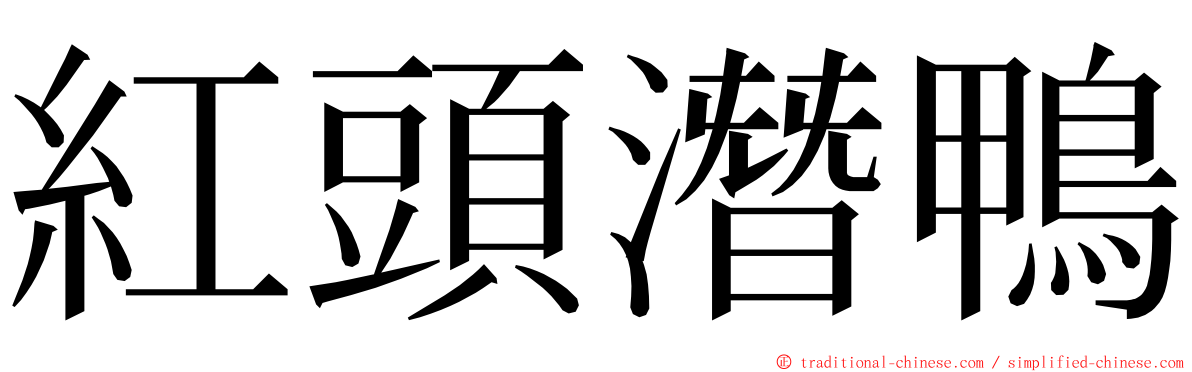 紅頭潛鴨 ming font