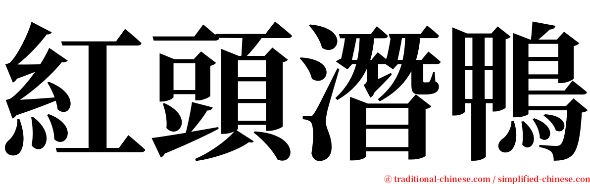 紅頭潛鴨 serif font