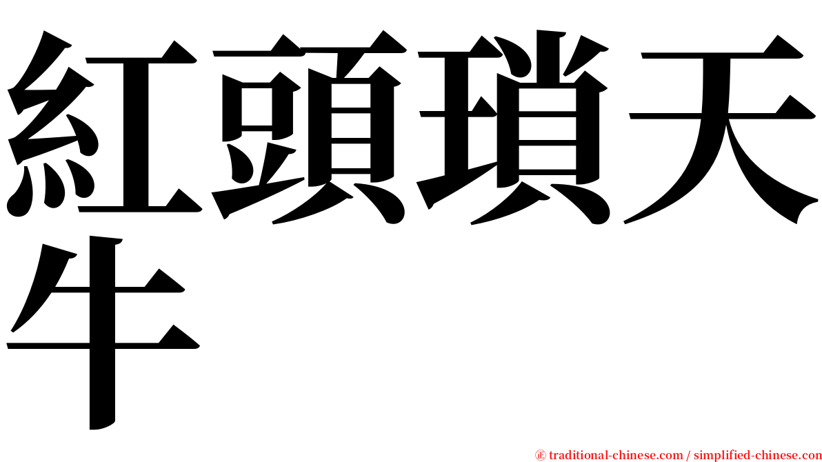 紅頭瑣天牛 serif font