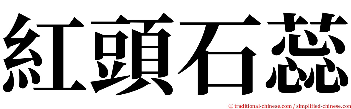 紅頭石蕊 serif font