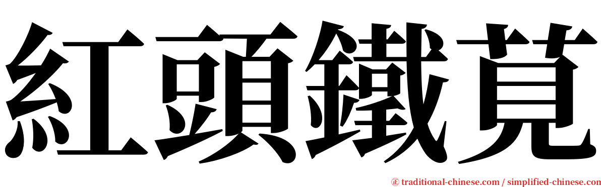 紅頭鐵莧 serif font