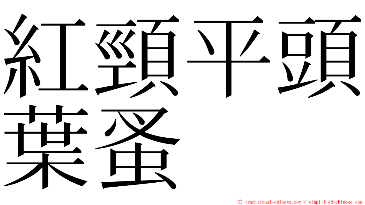 紅頸平頭葉蚤 ming font