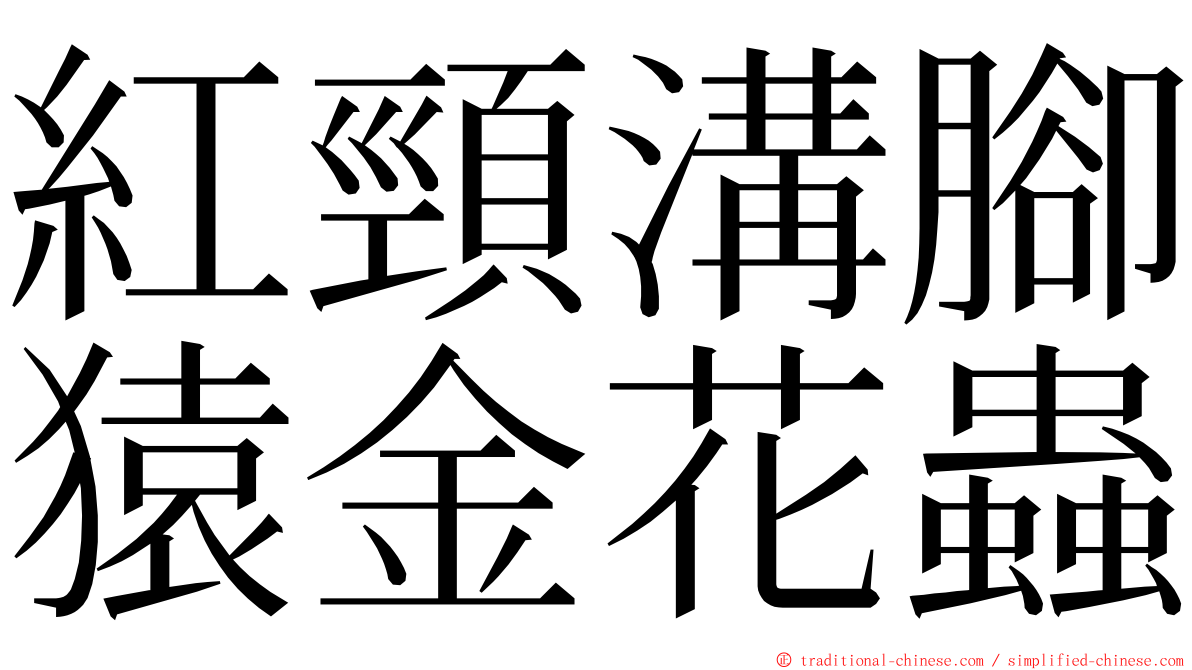 紅頸溝腳猿金花蟲 ming font