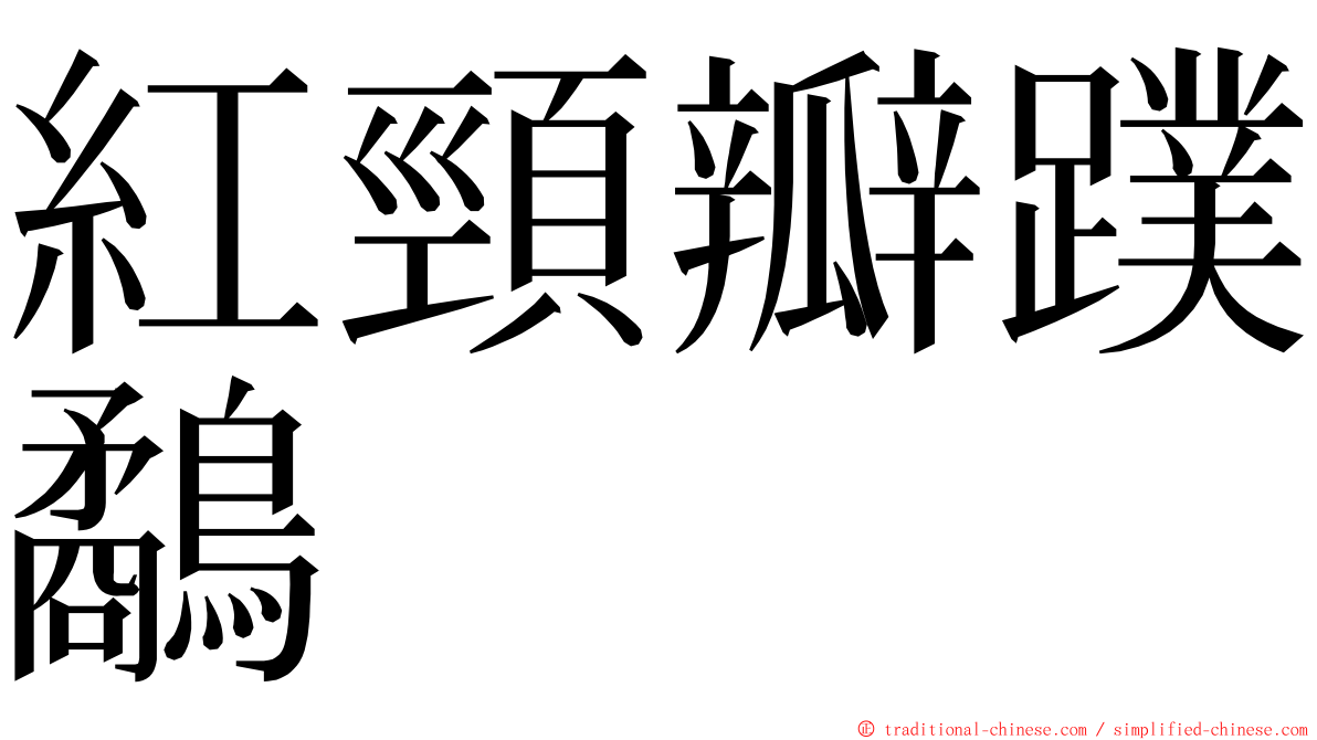 紅頸瓣蹼鷸 ming font