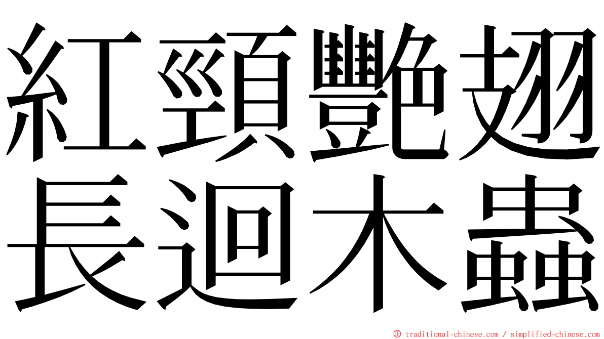 紅頸艷翅長迴木蟲 ming font