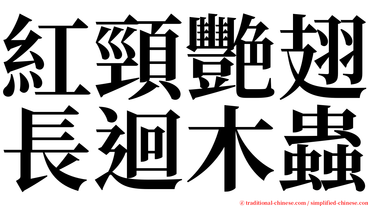 紅頸艷翅長迴木蟲 serif font