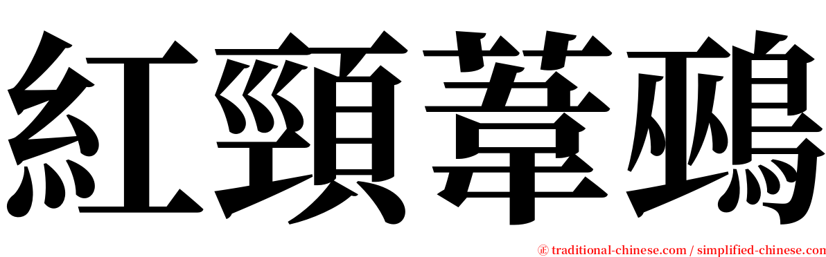 紅頸葦鵐 serif font