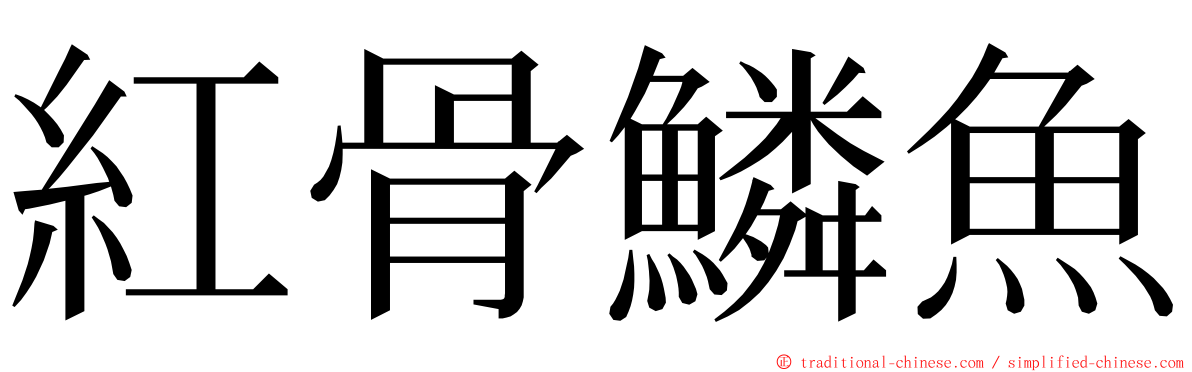 紅骨鱗魚 ming font