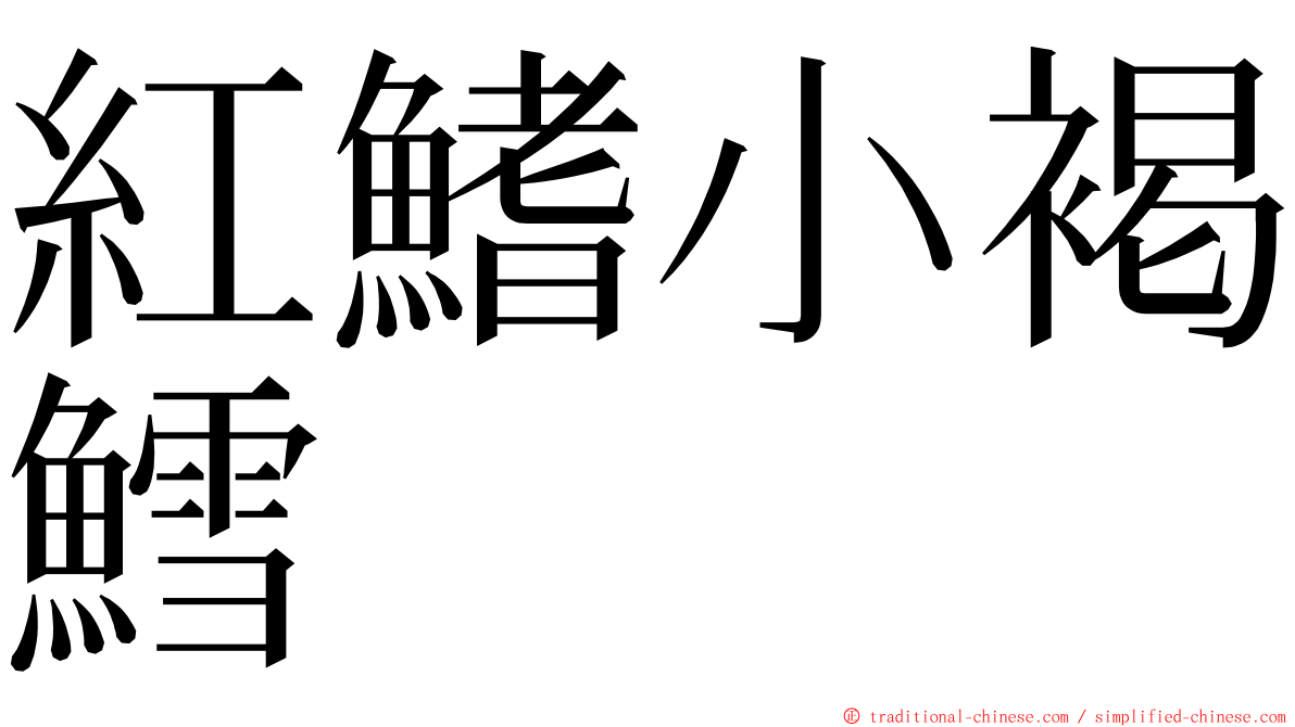 紅鰭小褐鱈 ming font