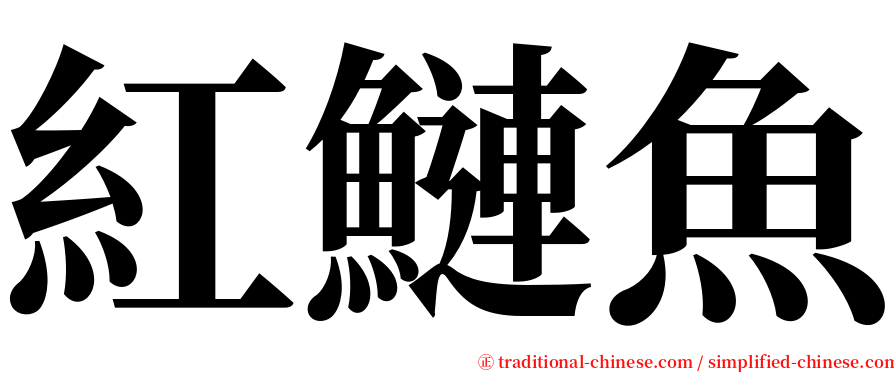 紅鰱魚 serif font