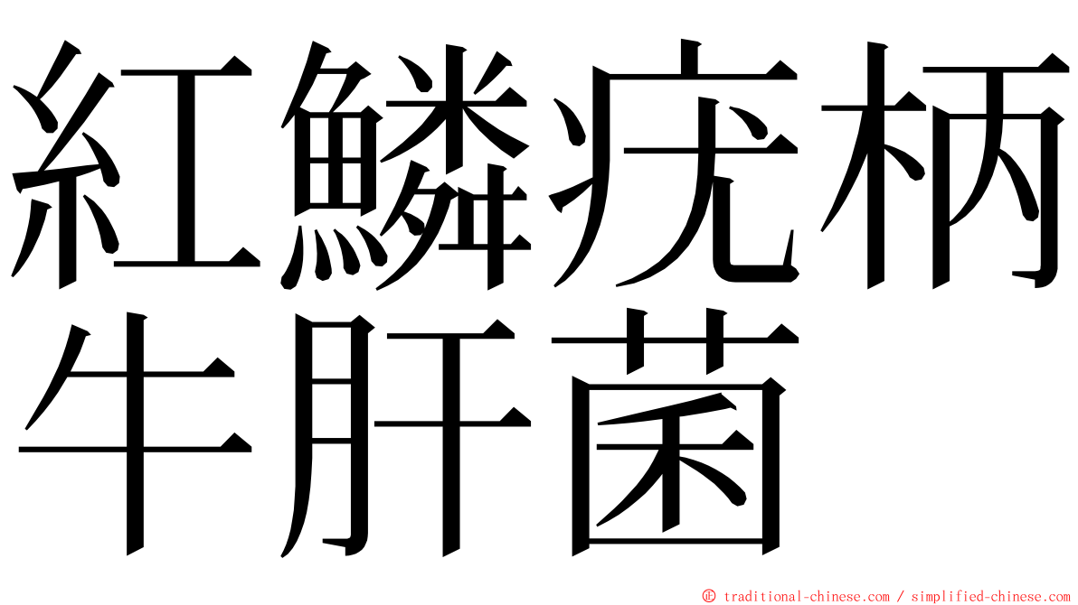 紅鱗疣柄牛肝菌 ming font