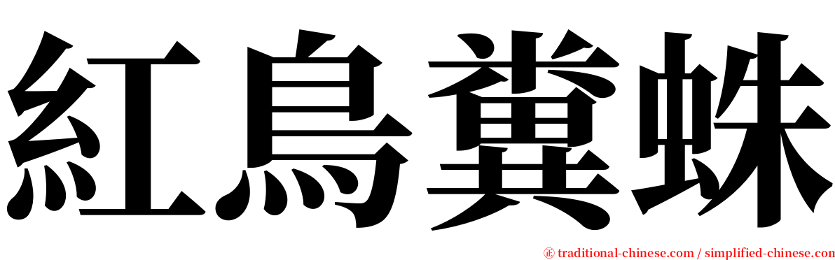 紅鳥糞蛛 serif font