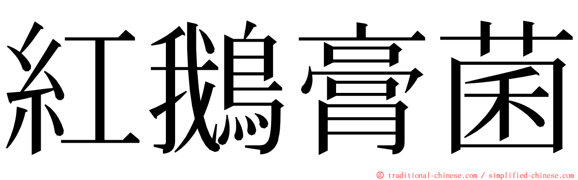 紅鵝膏菌 ming font