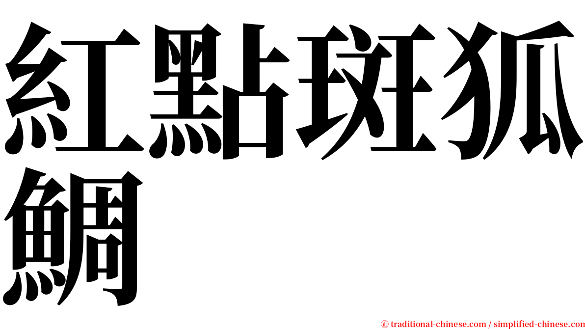 紅點斑狐鯛 serif font