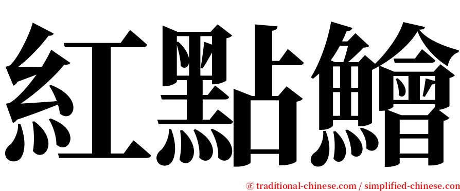 紅點鱠 serif font